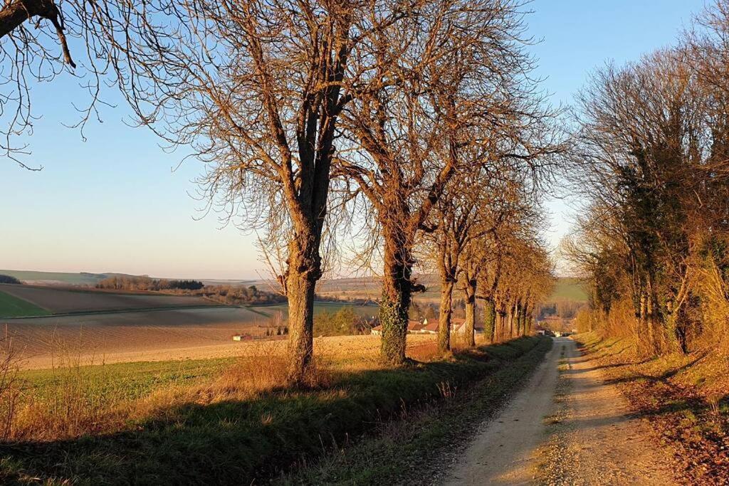 Le Bellevue A 1 H 30 De Paris Et 20 Km De Troyes Villa Estissac Ngoại thất bức ảnh